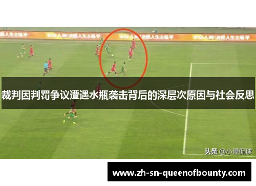 裁判因判罚争议遭遇水瓶袭击背后的深层次原因与社会反思