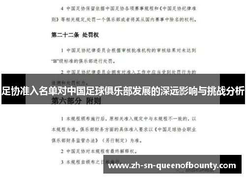 足协准入名单对中国足球俱乐部发展的深远影响与挑战分析