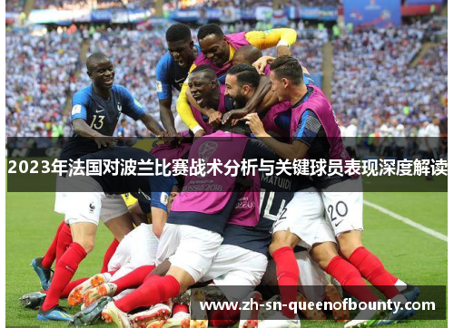 2023年法国对波兰比赛战术分析与关键球员表现深度解读