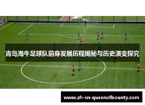 青岛海牛足球队前身发展历程揭秘与历史演变探究