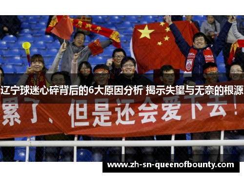 辽宁球迷心碎背后的6大原因分析 揭示失望与无奈的根源