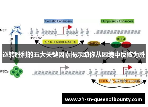 逆转胜利的五大关键因素揭示助你从困境中反败为胜 逆转胜利的五大关键因素揭示助你从困境中反败为胜